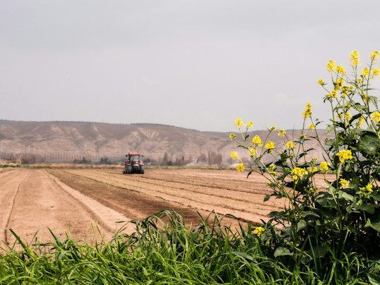 A scenic view of an agricultural field with a red tractor working the land. The landscape features expansive rows of tilled soil stretching towards a backdrop of rolling hills. In the foreground, vibrant yellow flowers and lush green foliage add a splash of color.