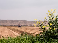 red and black tractor on brown field during daytime
