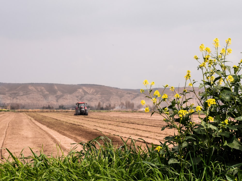 tractor rojo y negro en el campo marrón durante el día