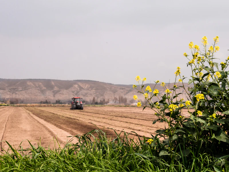 Agriculture & Food