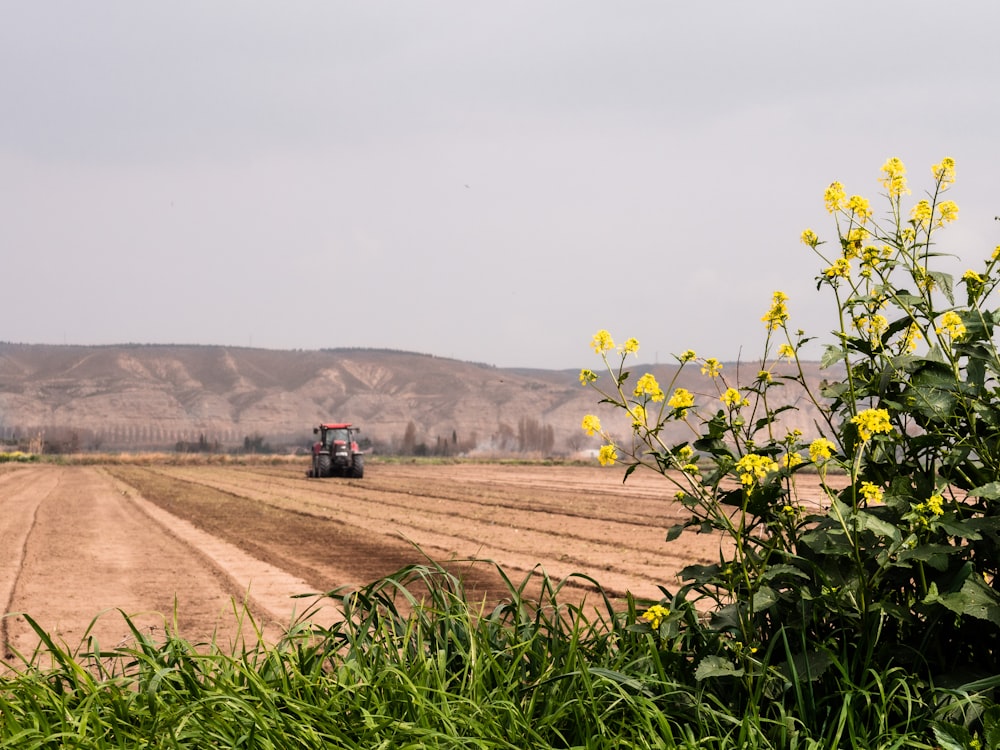 red and black tractor on brown field during daytime