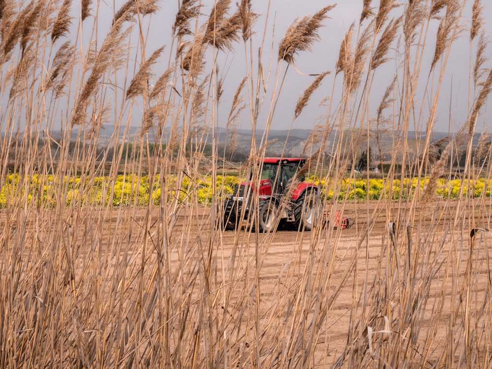 roter und schwarzer LKW tagsüber auf brauner Wiese