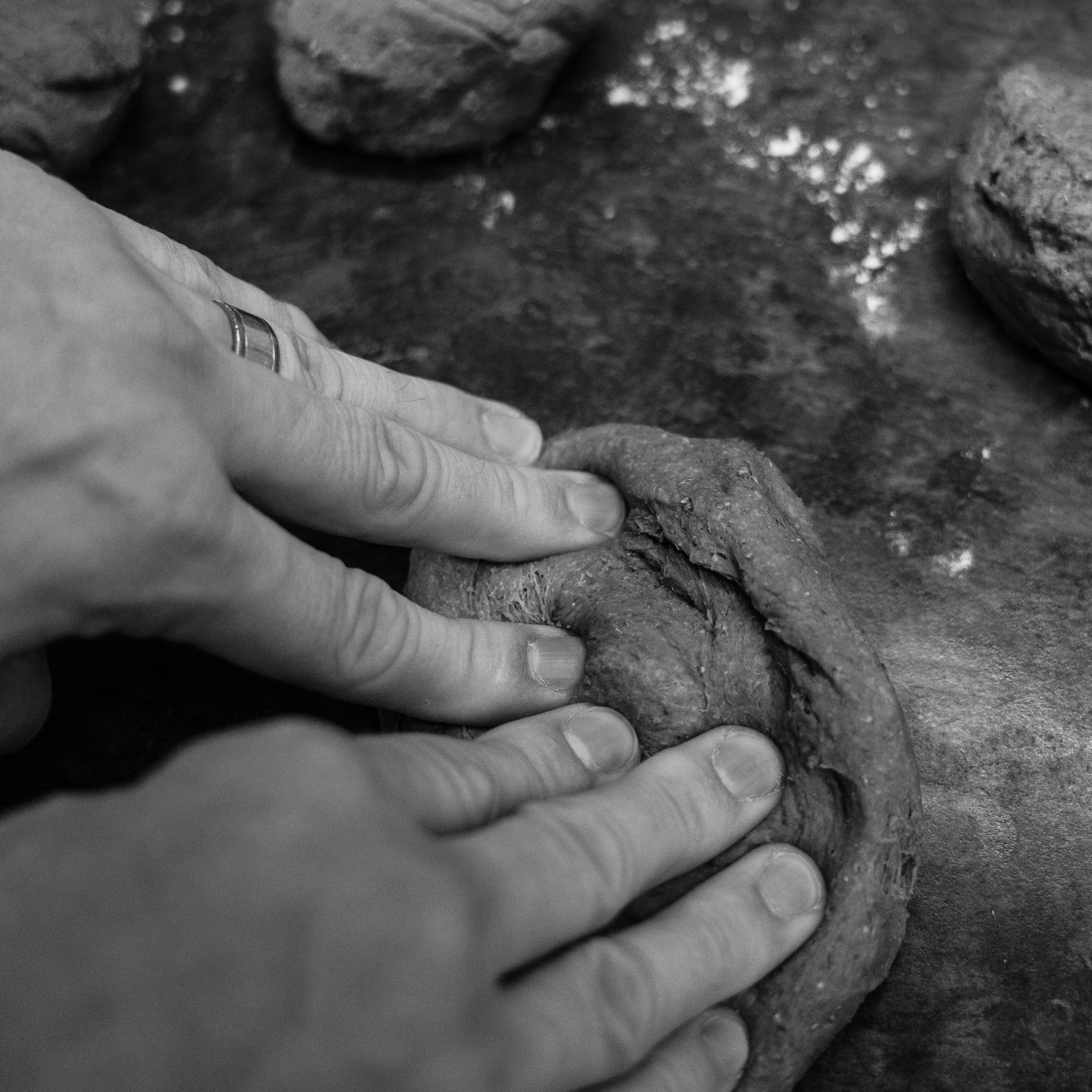 grayscale photo of persons hand on rock