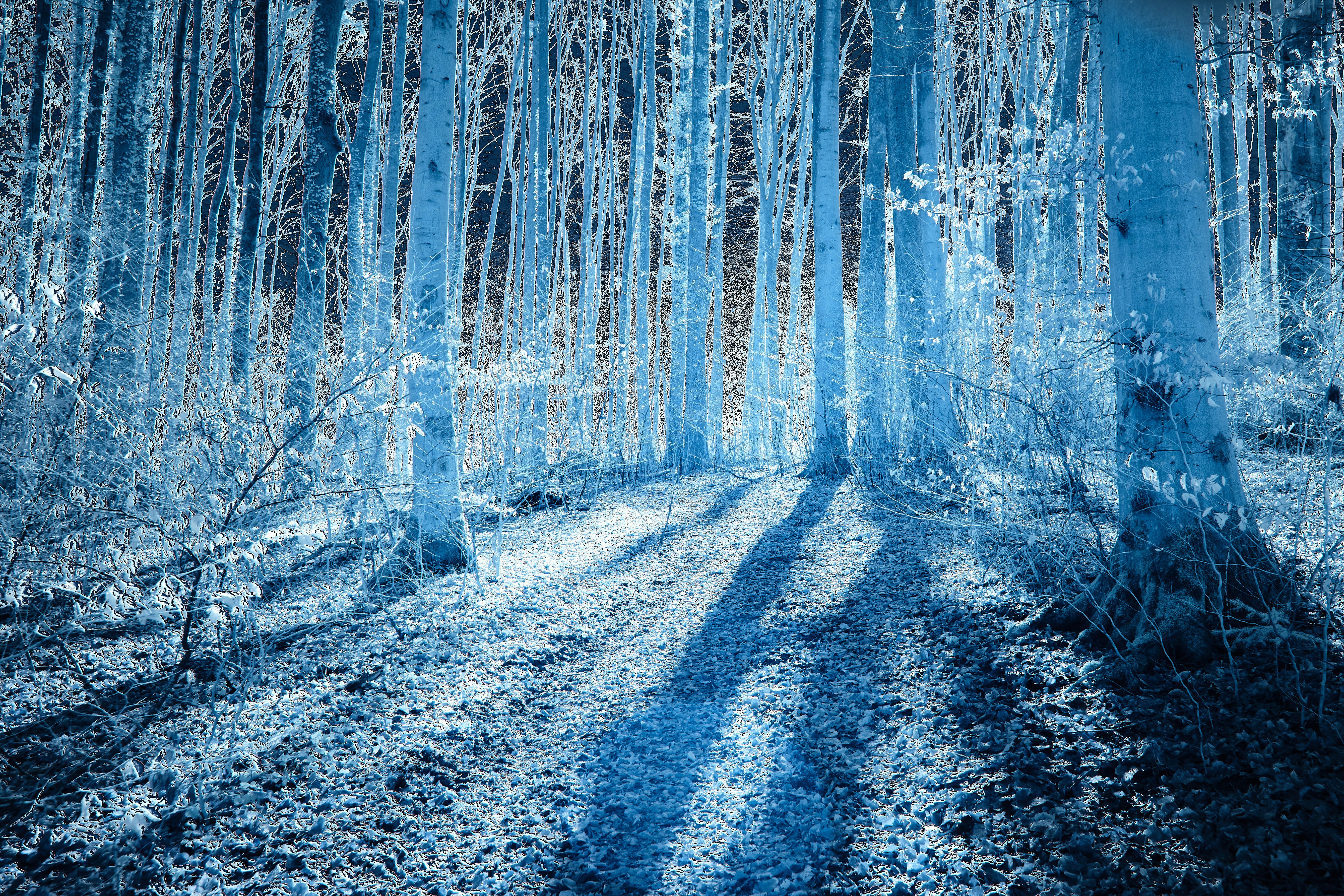 Photo by wolfgang_hasselmann