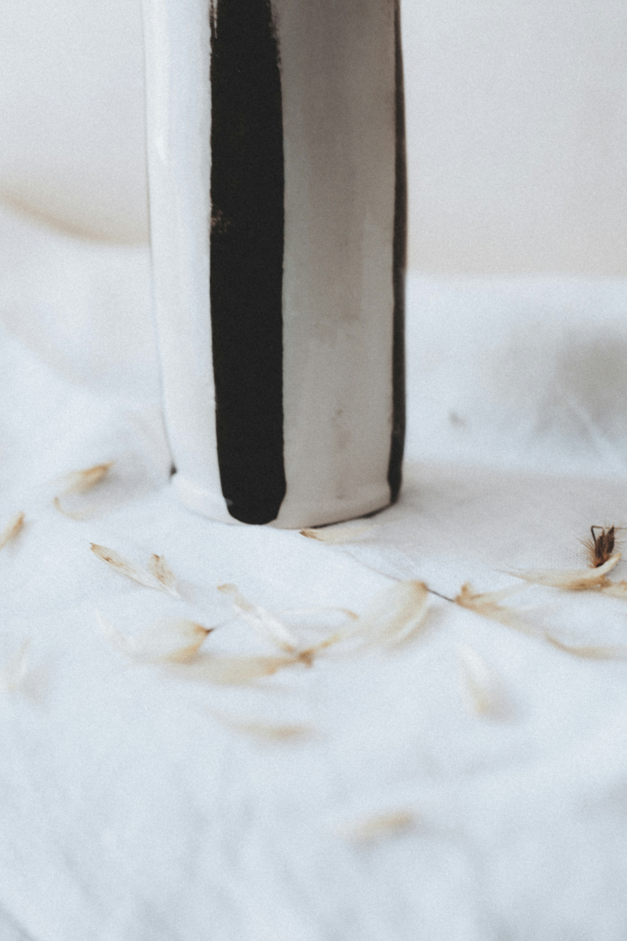 Photo by i_am_simoesse