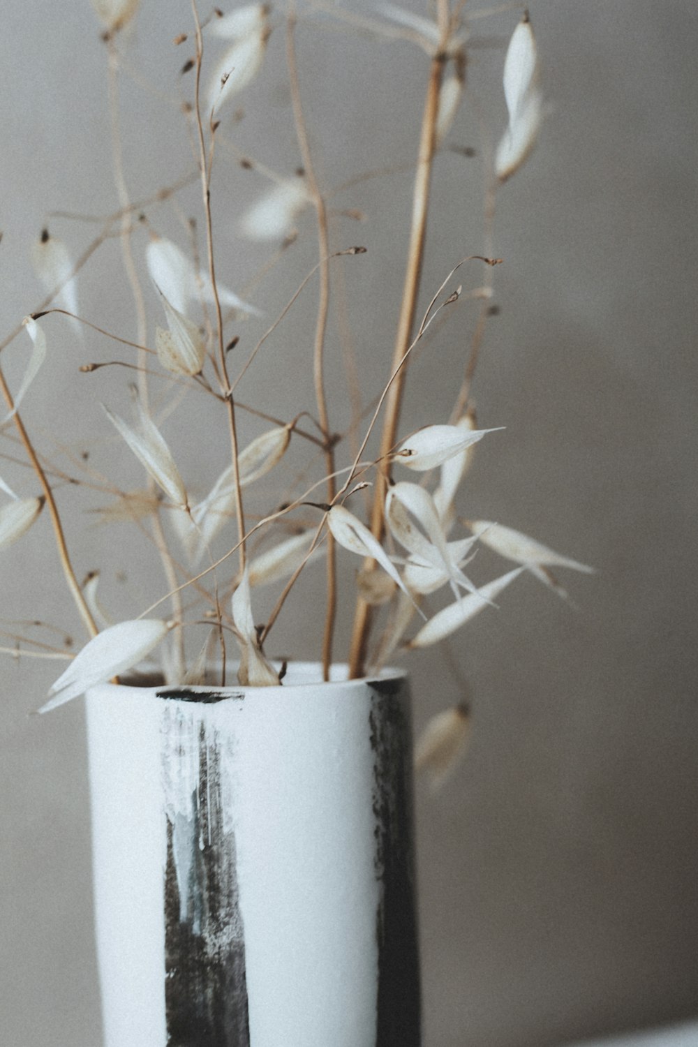 white flowers in gray ceramic vase
