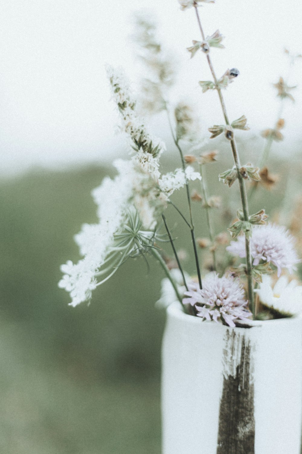 white flowers in white ceramic vase