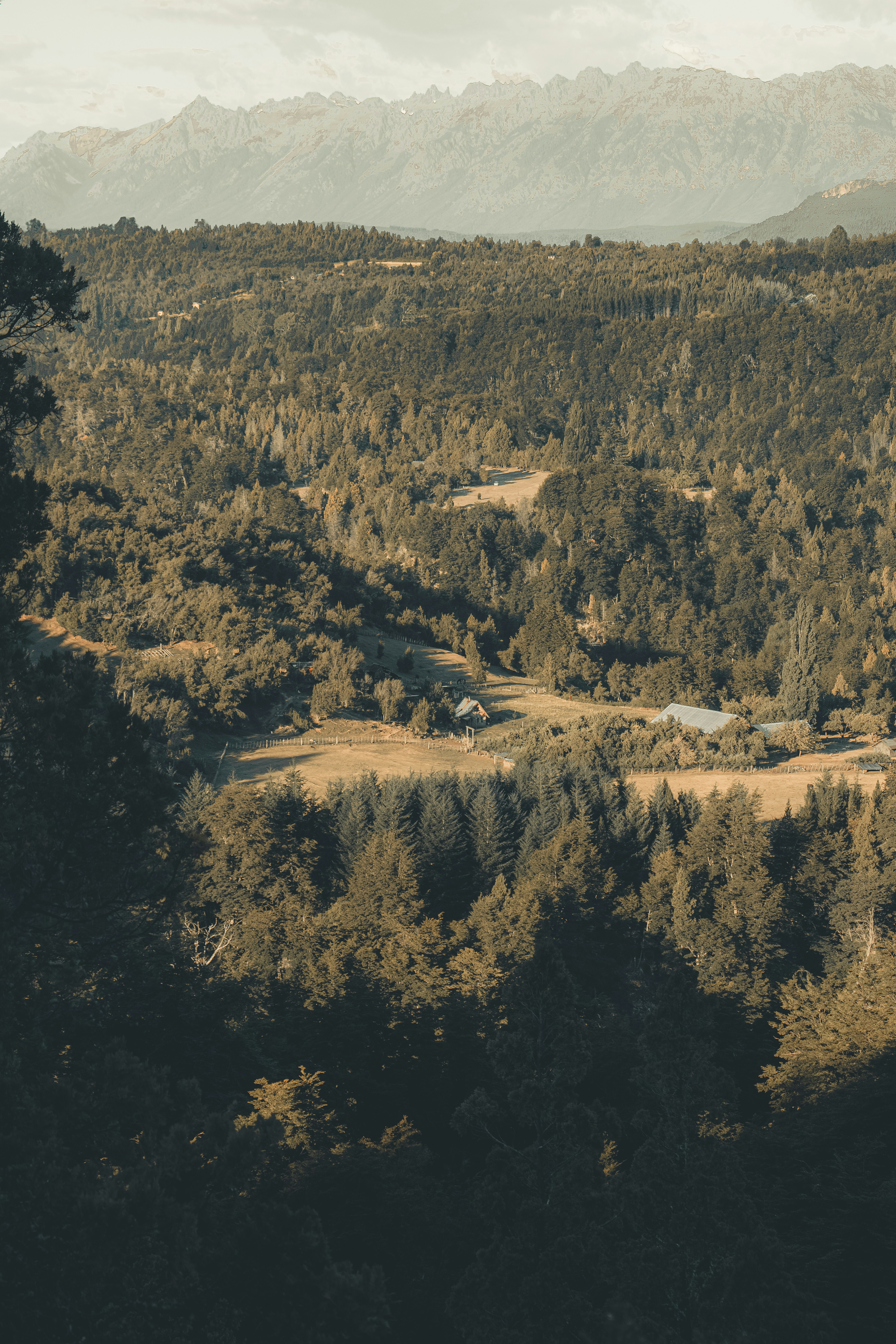 Photo by williamsiann