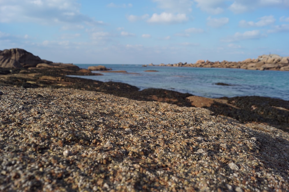 brown and gray rocky shore under blue sky during daytime