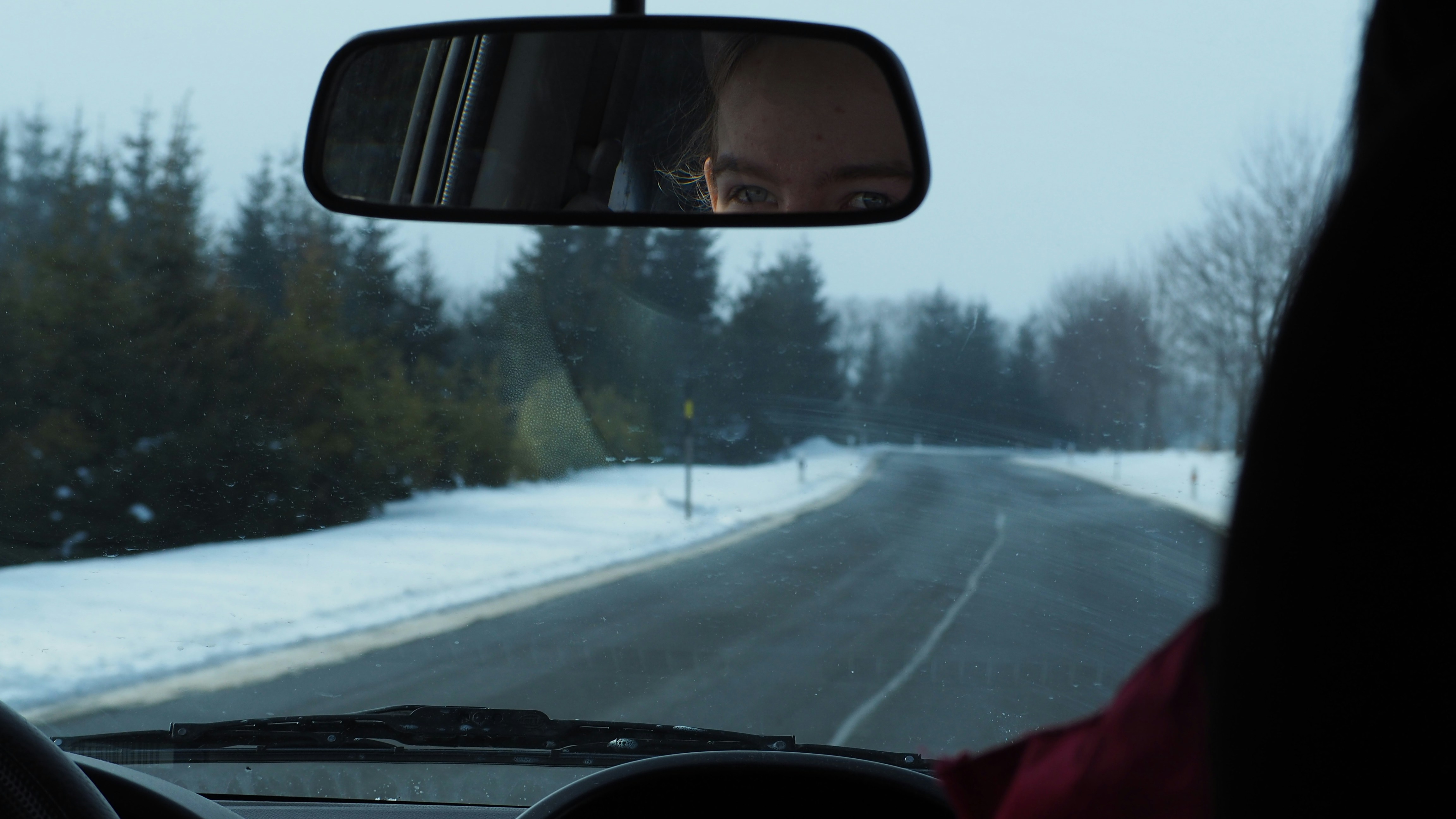 car on road between trees during daytime