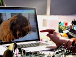 A person is pointing at a laptop screen displaying an image of a guinea pig. The setting appears to be a cluttered workspace with various items including cables, electronic components, and stationery scattered around. The lighting is warm and focused on the desk area.