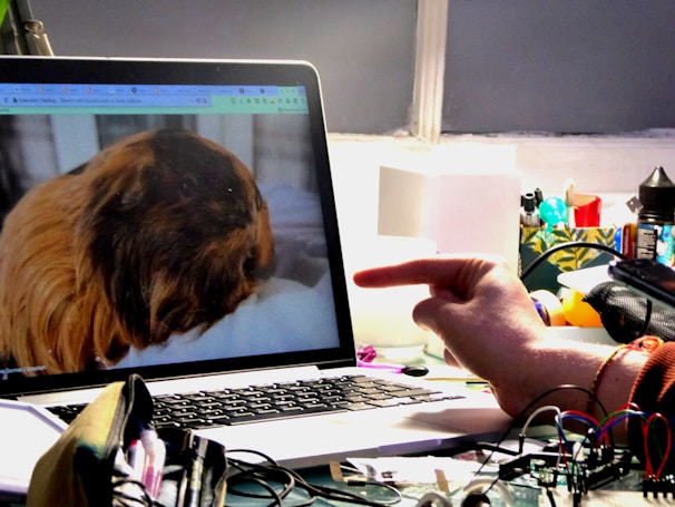 Close-up of a friendly expert pointing at a laptop screen for guidance.
