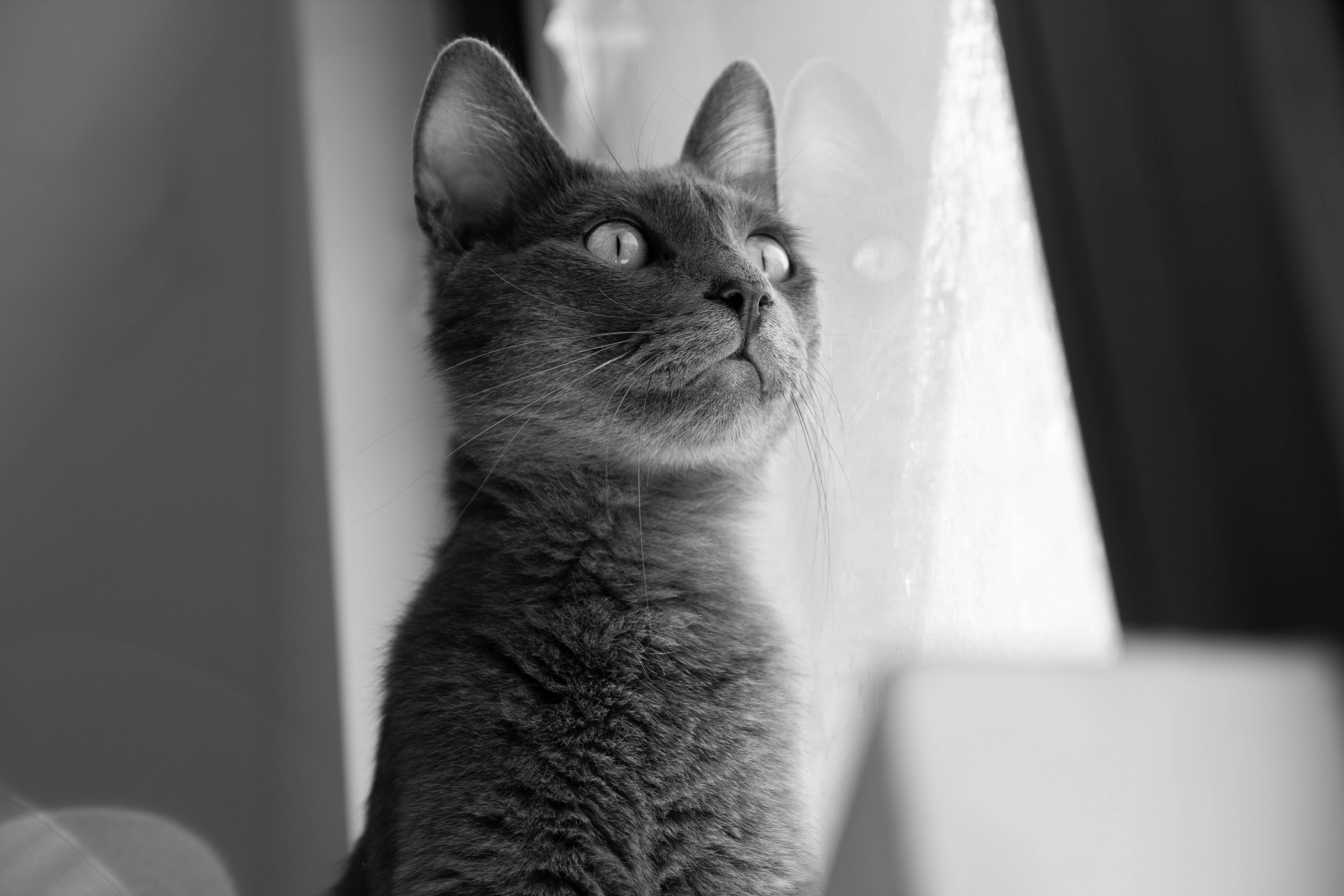 Photo by coralineart