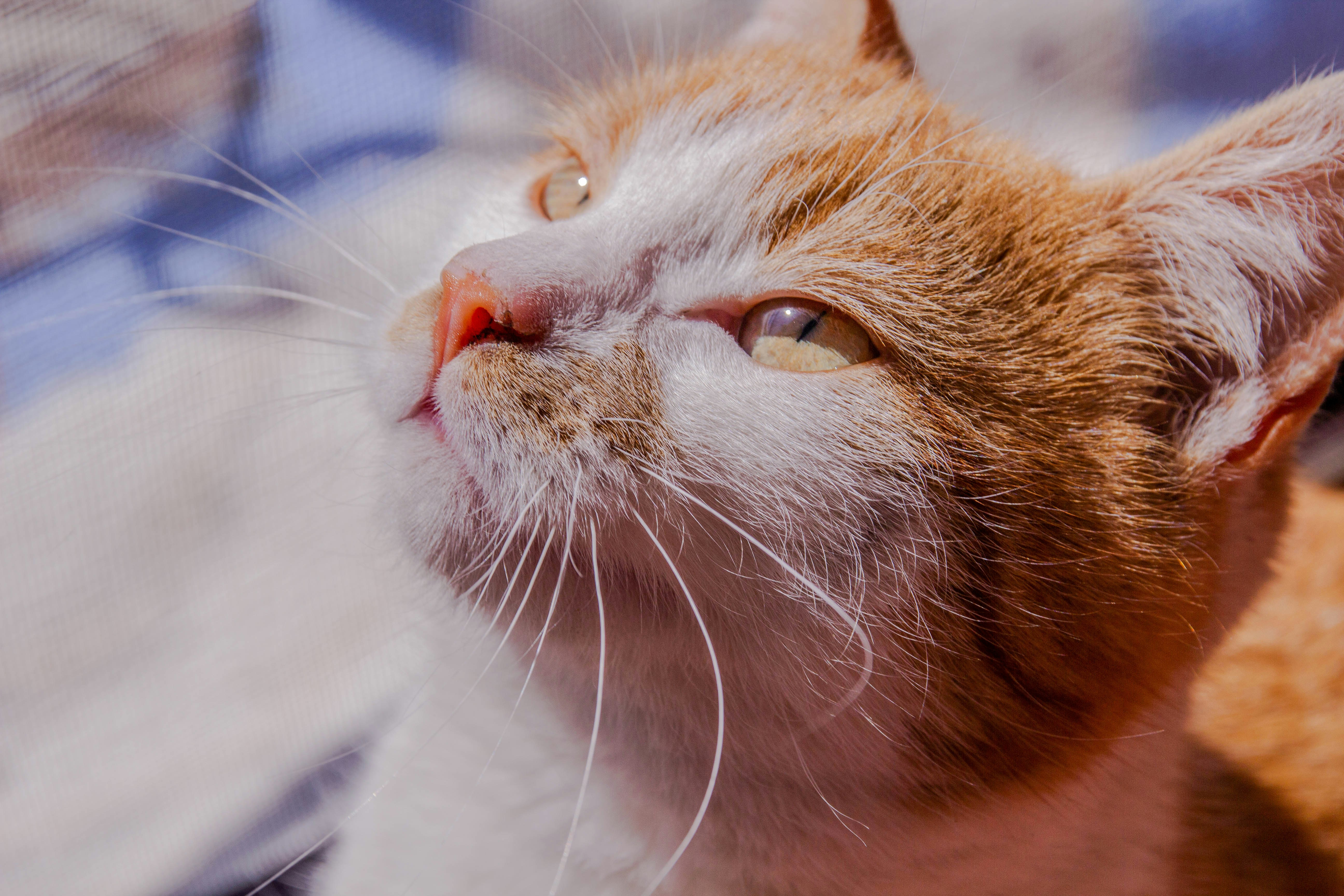 Photo by coralineart