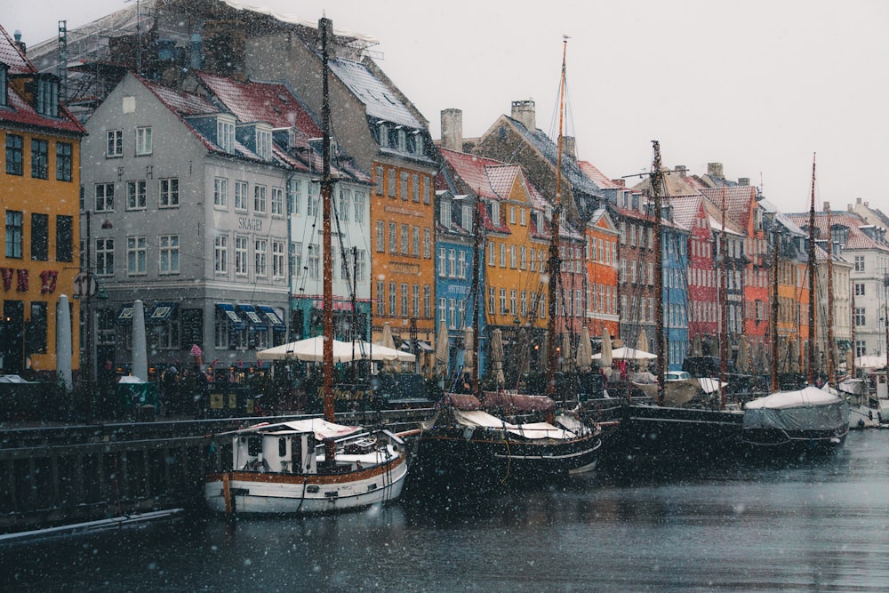 weißes und blaues Boot tagsüber am Dock in der Nähe von Gebäuden