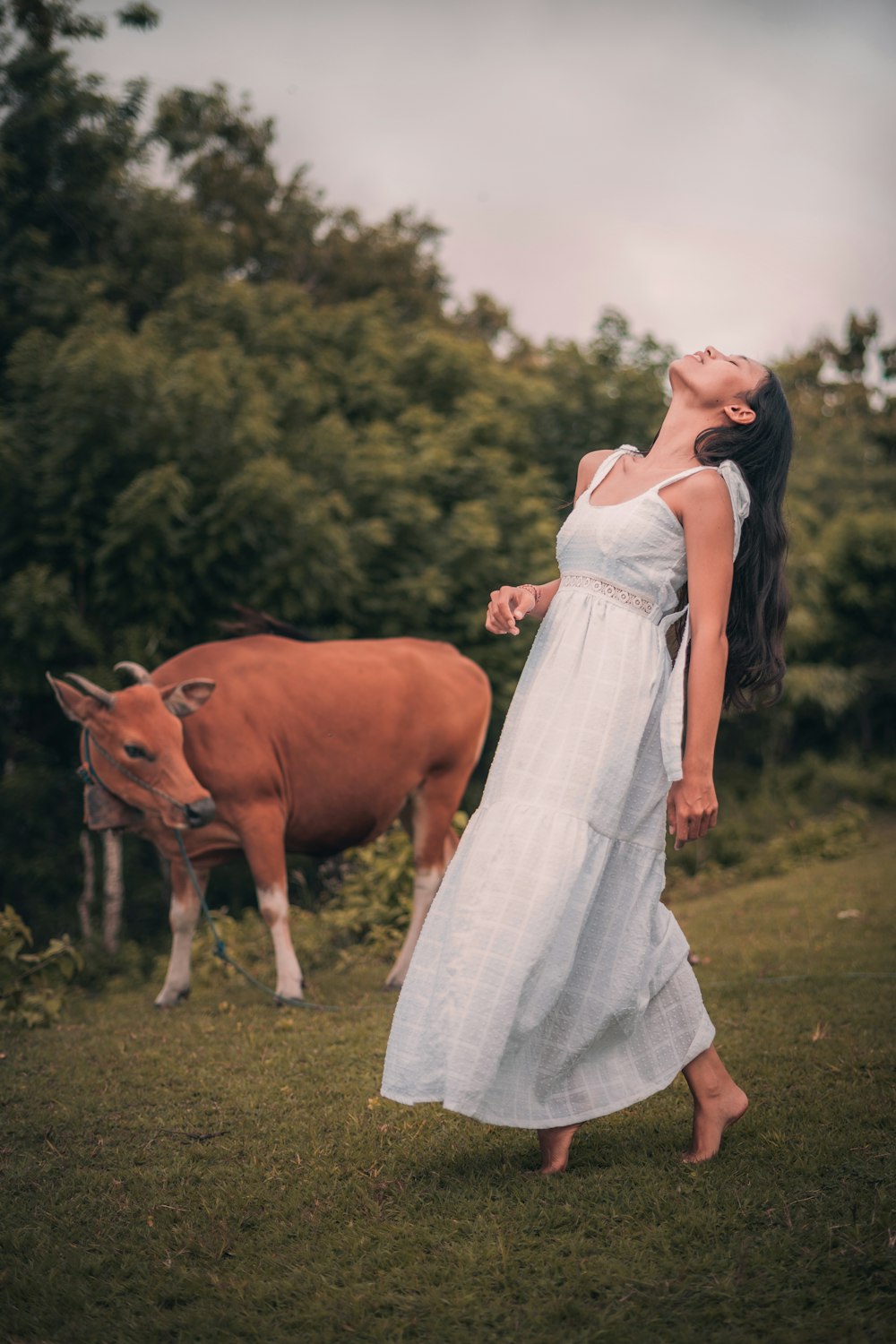 woman in white dress standing beside brown cow during daytime