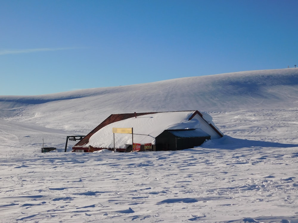 昼間の青空の下、雪に覆われた地面に茶色い木造住宅