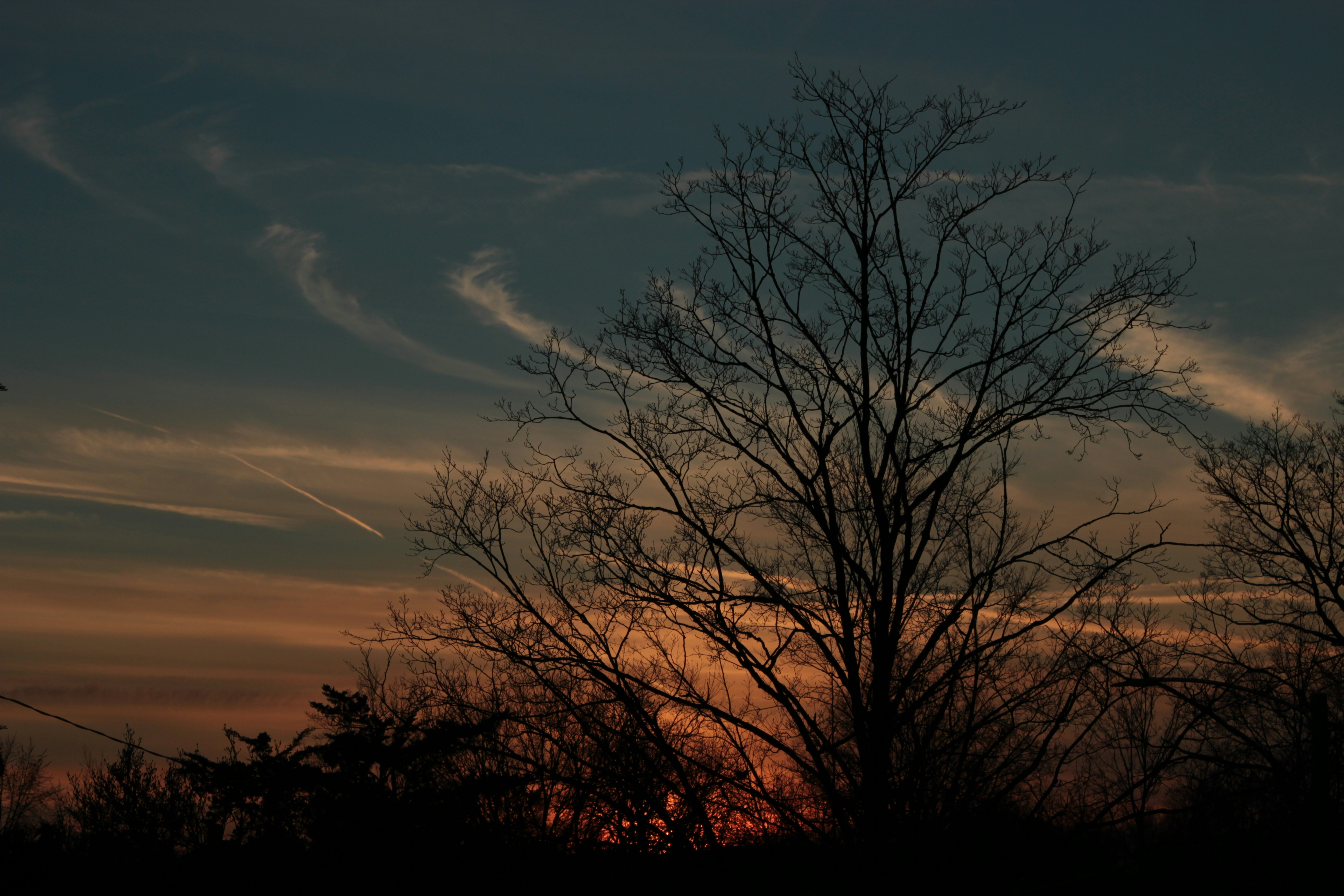 Photo by mrgreatheart