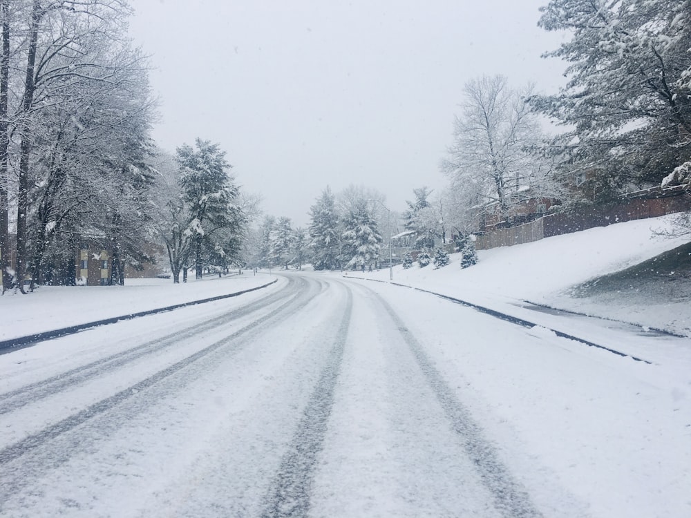 Carretera cubierta de nieve entre árboles durante el día