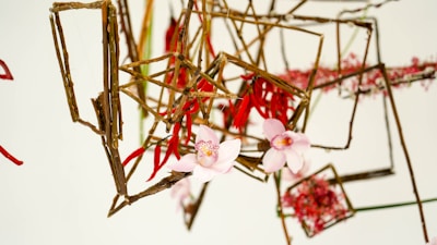 A delicate floral arrangement featuring pink flowers intertwined with geometric wooden structures. Red petals and branches are intricately woven together, creating an artistic and organic pattern.