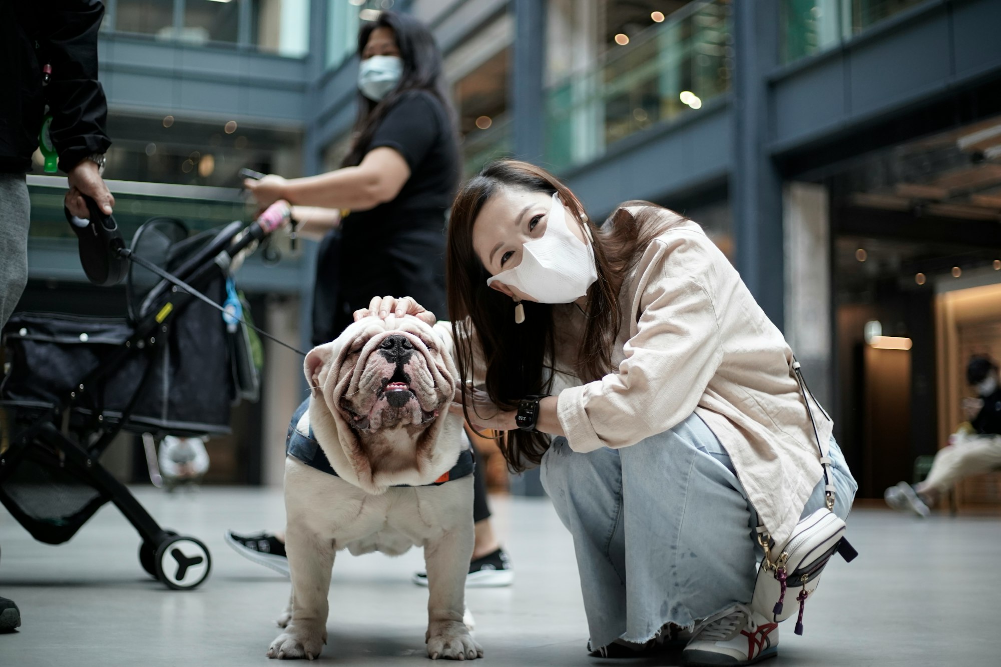 girl in white long sleeve shirt holding white and brown short coated dog