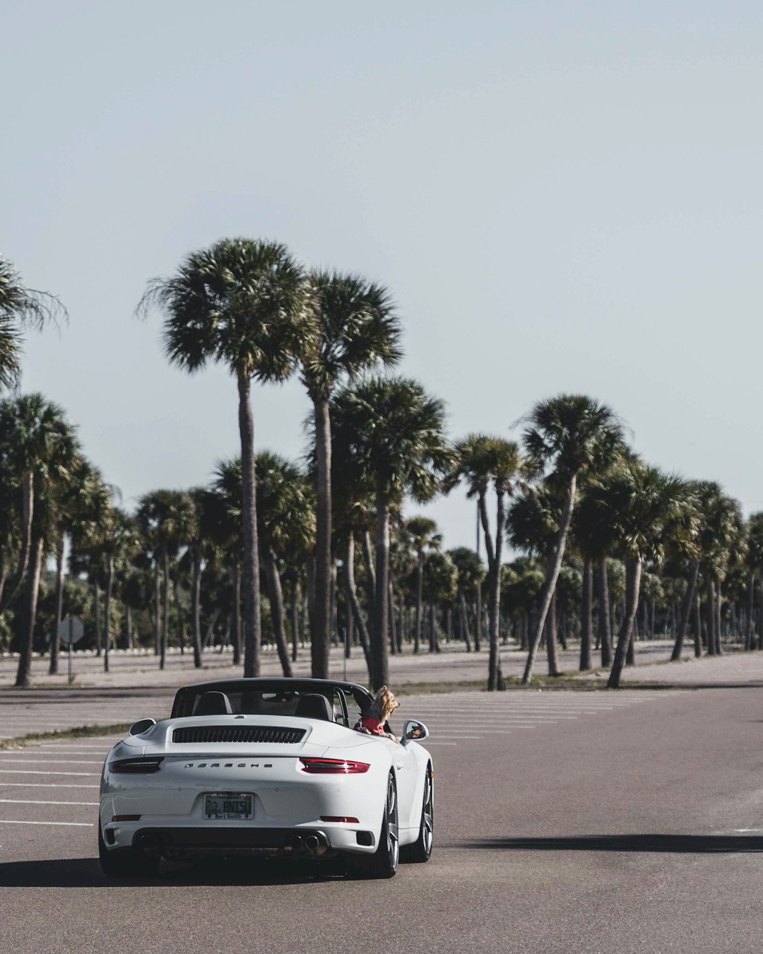 white car on road near palm trees during daytime