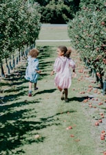 Children enjoying a sunny day picking fruit with their parents in the orchard.