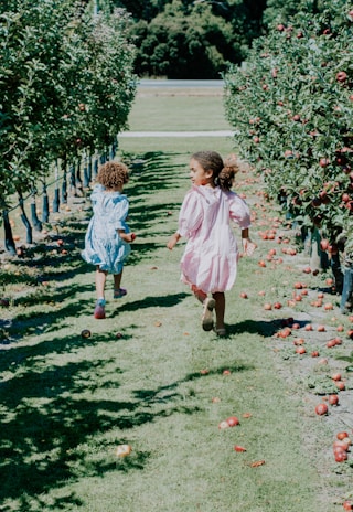 Children happily picking apples in the orchard under a sunny sky.