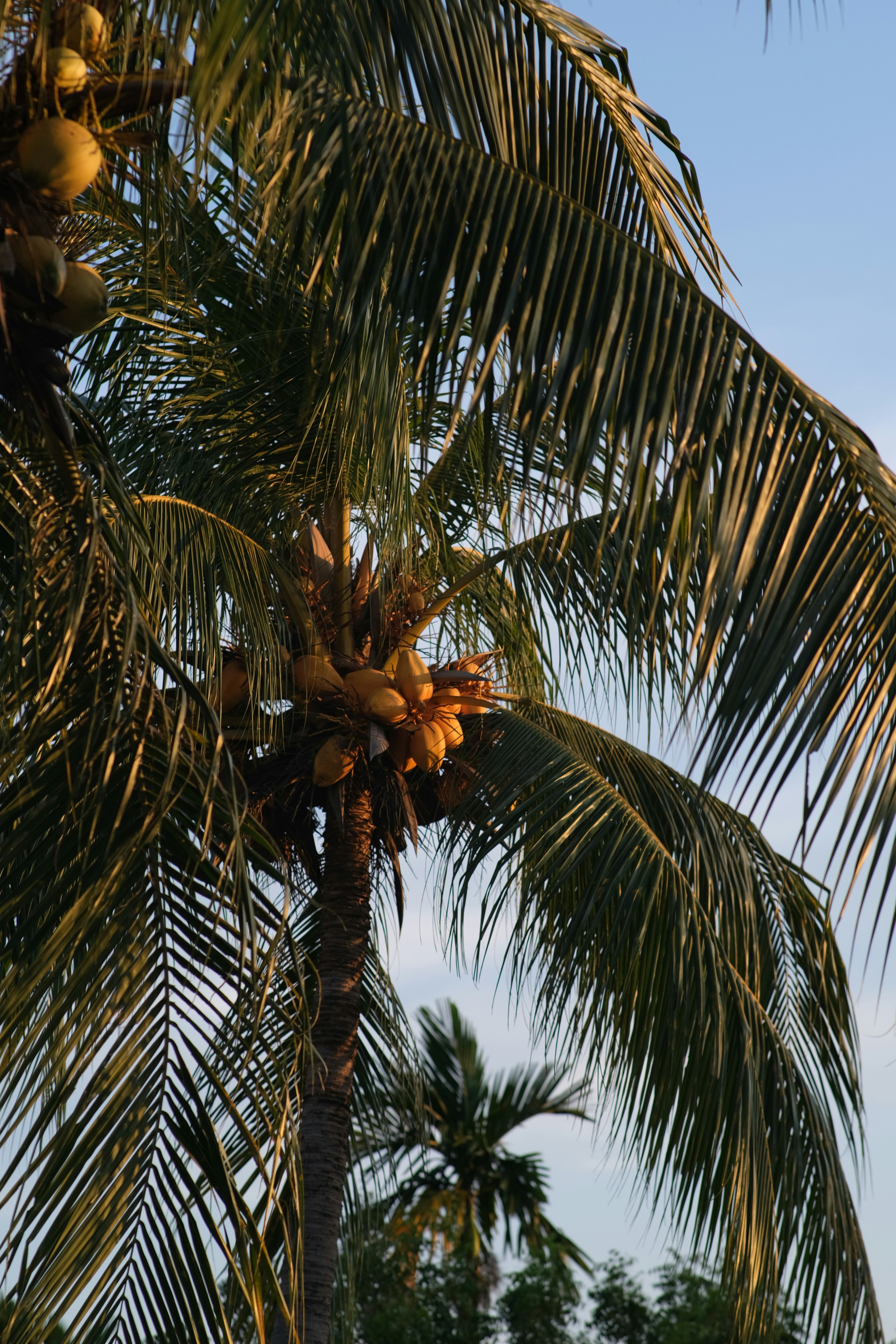 Photo by melaniesylim