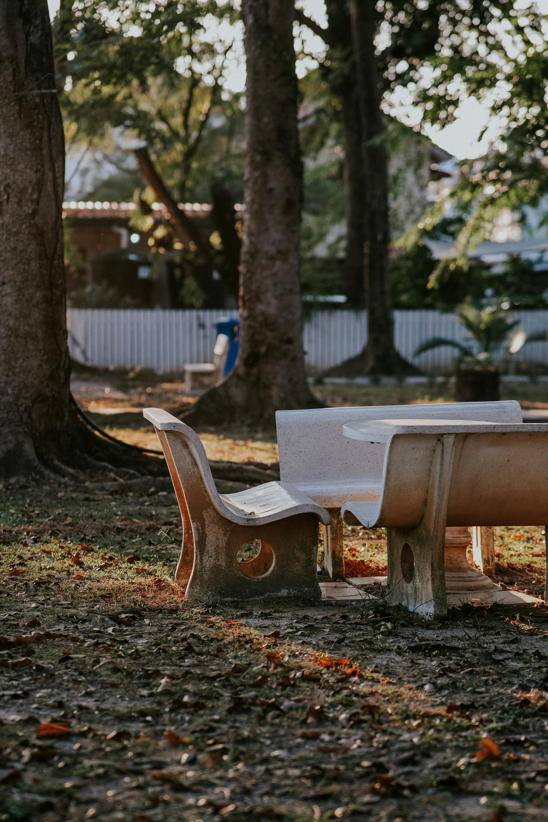 brown wooden bench near trees during daytime