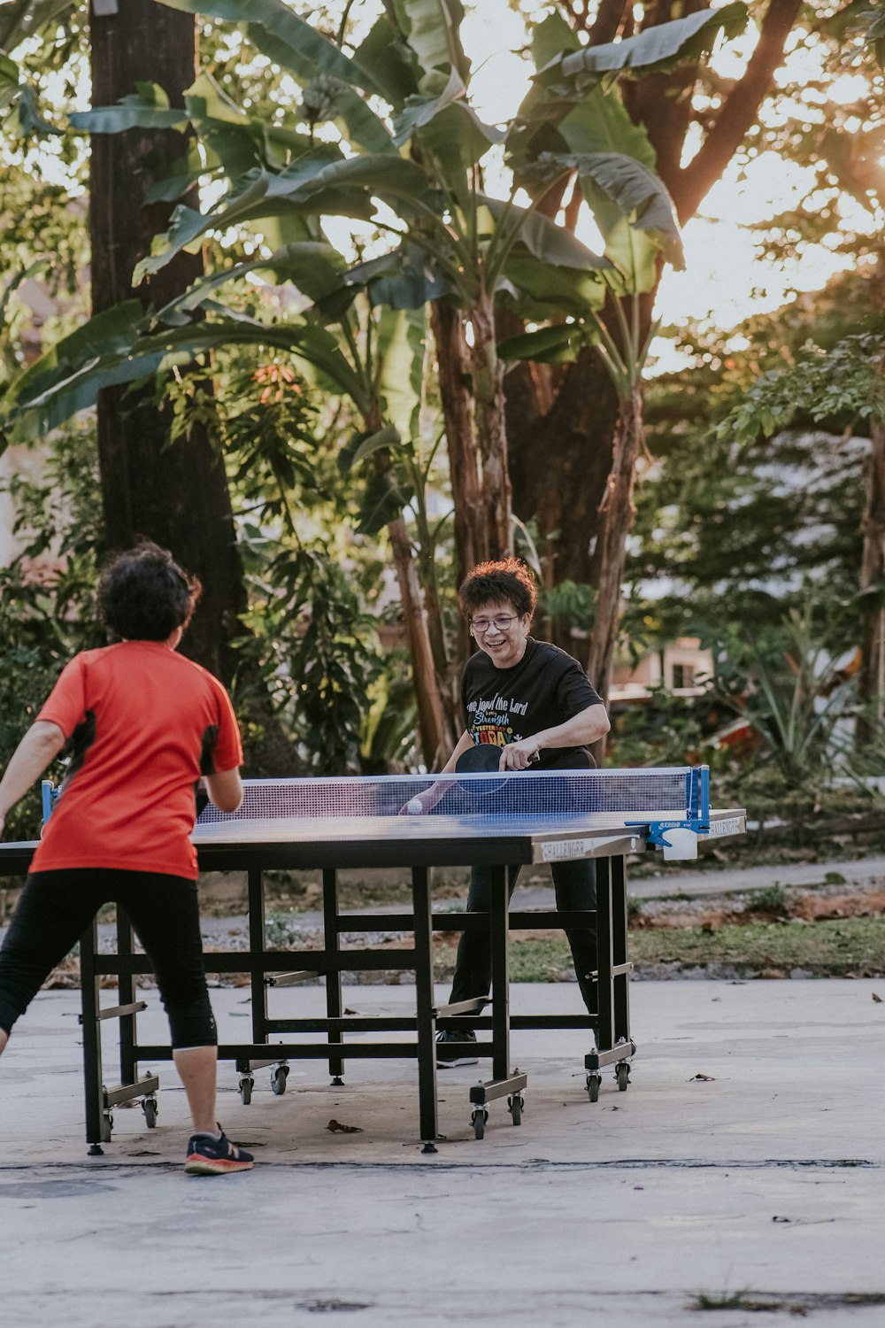 1000+ Ping Pong Pictures  Download Free Images on Unsplash