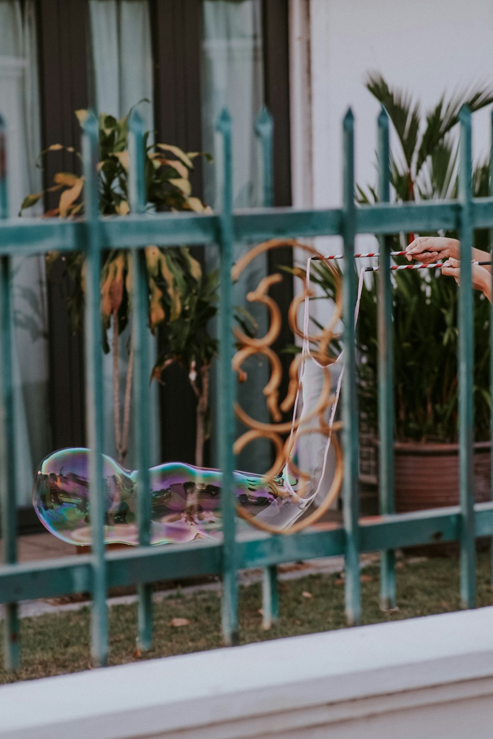 clear glass heart shaped decor