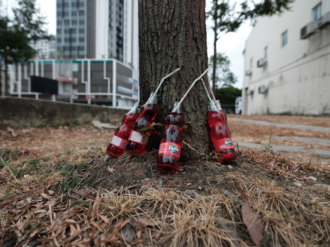 red car toy on brown dried grass