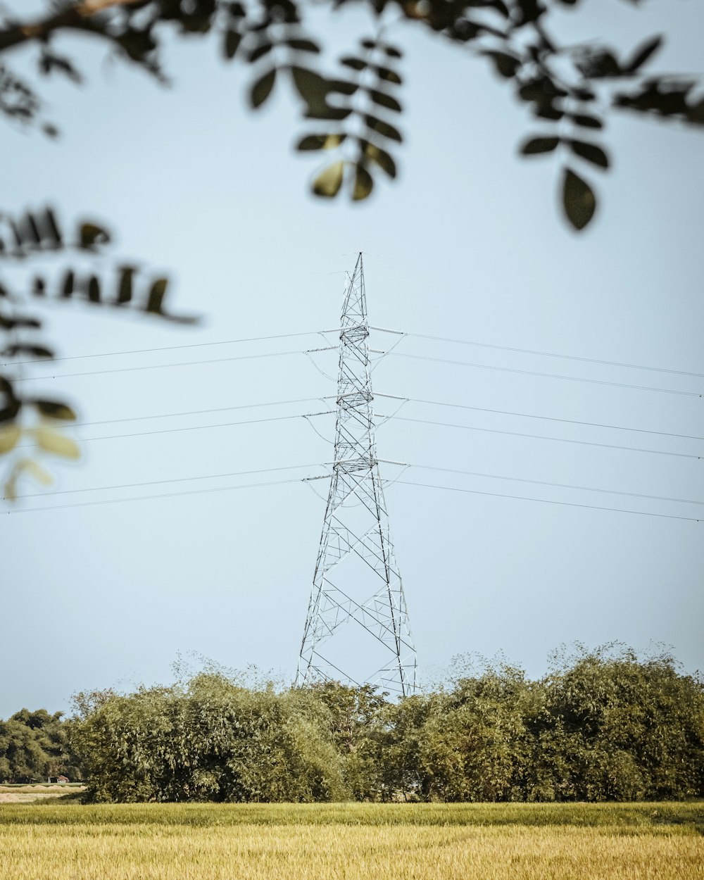 black electric tower near green trees during daytime