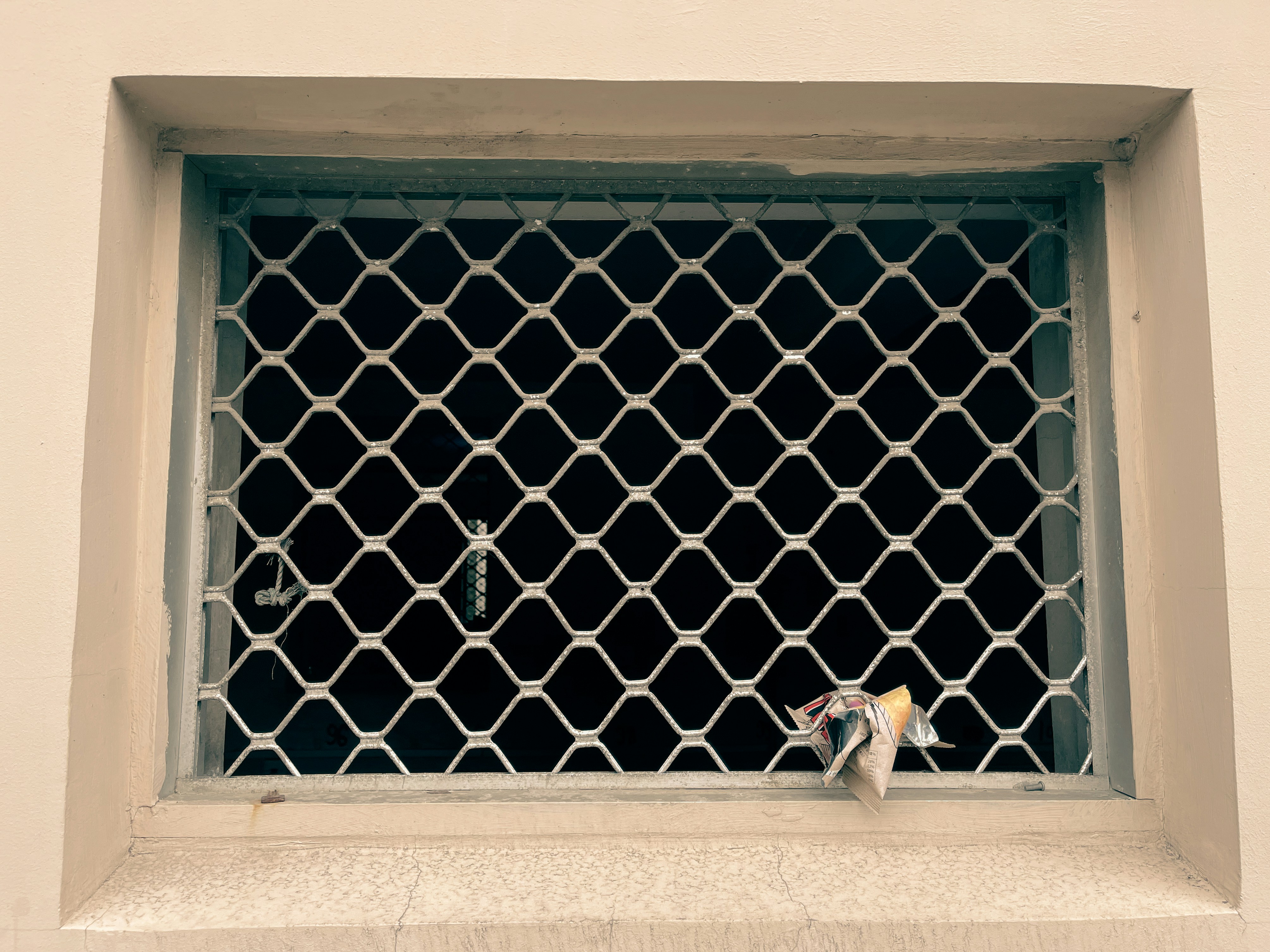 Enhancing Comfort and Safety: Invisible Grill Services and Mosquito Net Installation in Pune