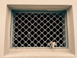 A metal mesh grill covers an empty window frame. A small piece of crumpled paper is lodged in the bottom corner of the grill. The wall around the window is painted off-white, and the area beyond the grill is dark.