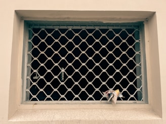 A metal mesh grill covers an empty window frame. A small piece of crumpled paper is lodged in the bottom corner of the grill. The wall around the window is painted off-white, and the area beyond the grill is dark.
