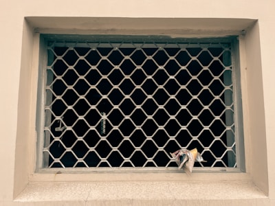 A metal mesh grill covers an empty window frame. A small piece of crumpled paper is lodged in the bottom corner of the grill. The wall around the window is painted off-white, and the area beyond the grill is dark.