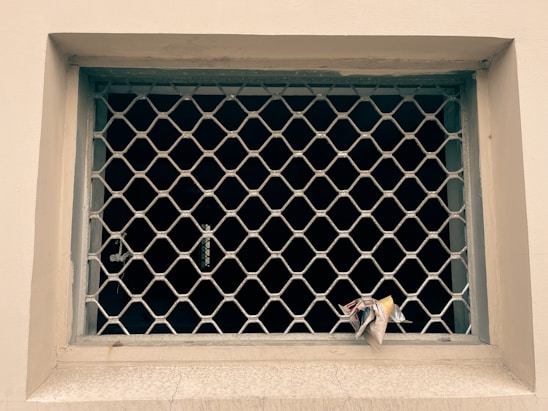 A metal mesh grill covers an empty window frame. A small piece of crumpled paper is lodged in the bottom corner of the grill. The wall around the window is painted off-white, and the area beyond the grill is dark.
