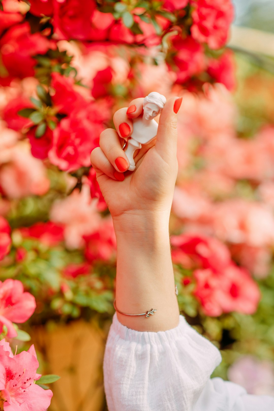 person holding red and white flower