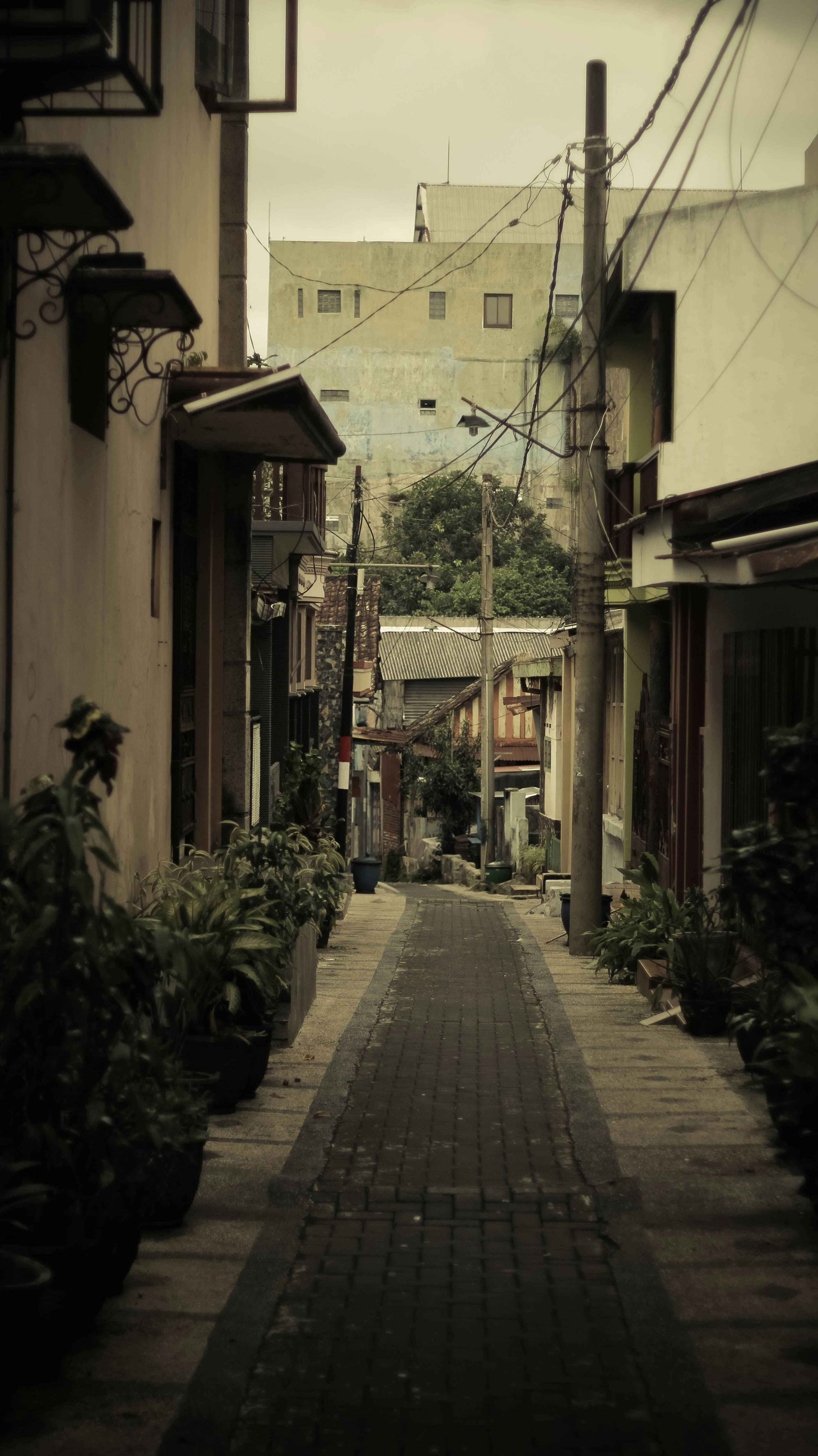 Photo by difansaputra