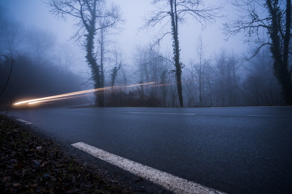 gray concrete road between bare trees during daytime