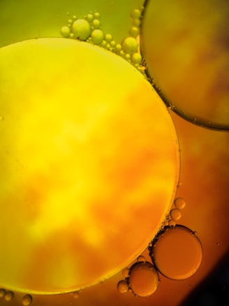 A close-up view of oil droplets suspended in water, creating a unique pattern of overlapping circles in vibrant shades of yellow and orange. The surface tension causes the drops to form perfect circles, while some are clustered together and others float independently. The translucent quality allows light to pass through, creating an abstract art-like appearance.