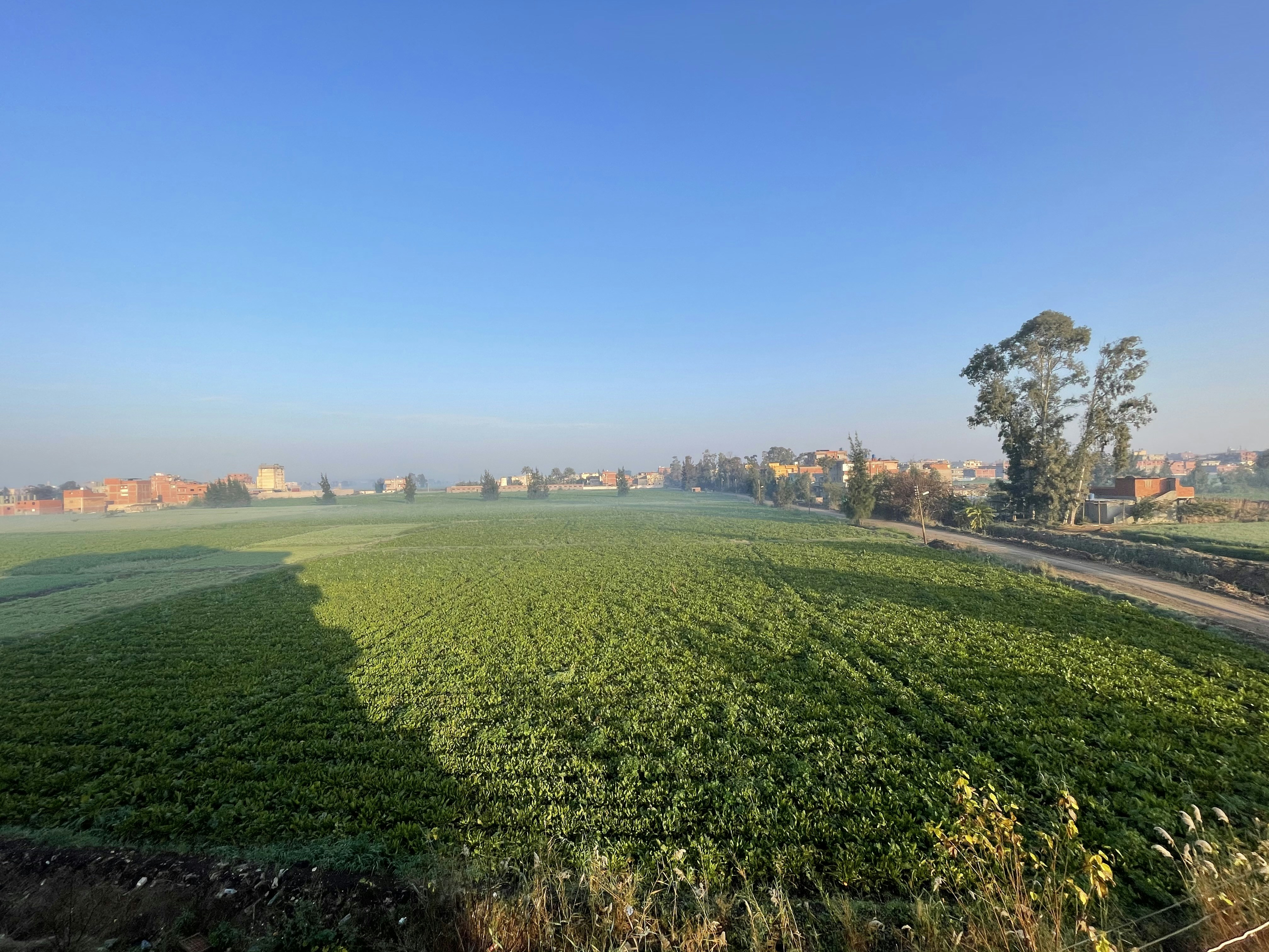 Expansive villa plot development, bright daylight, green open landscape, clear sky, wide open airy setting