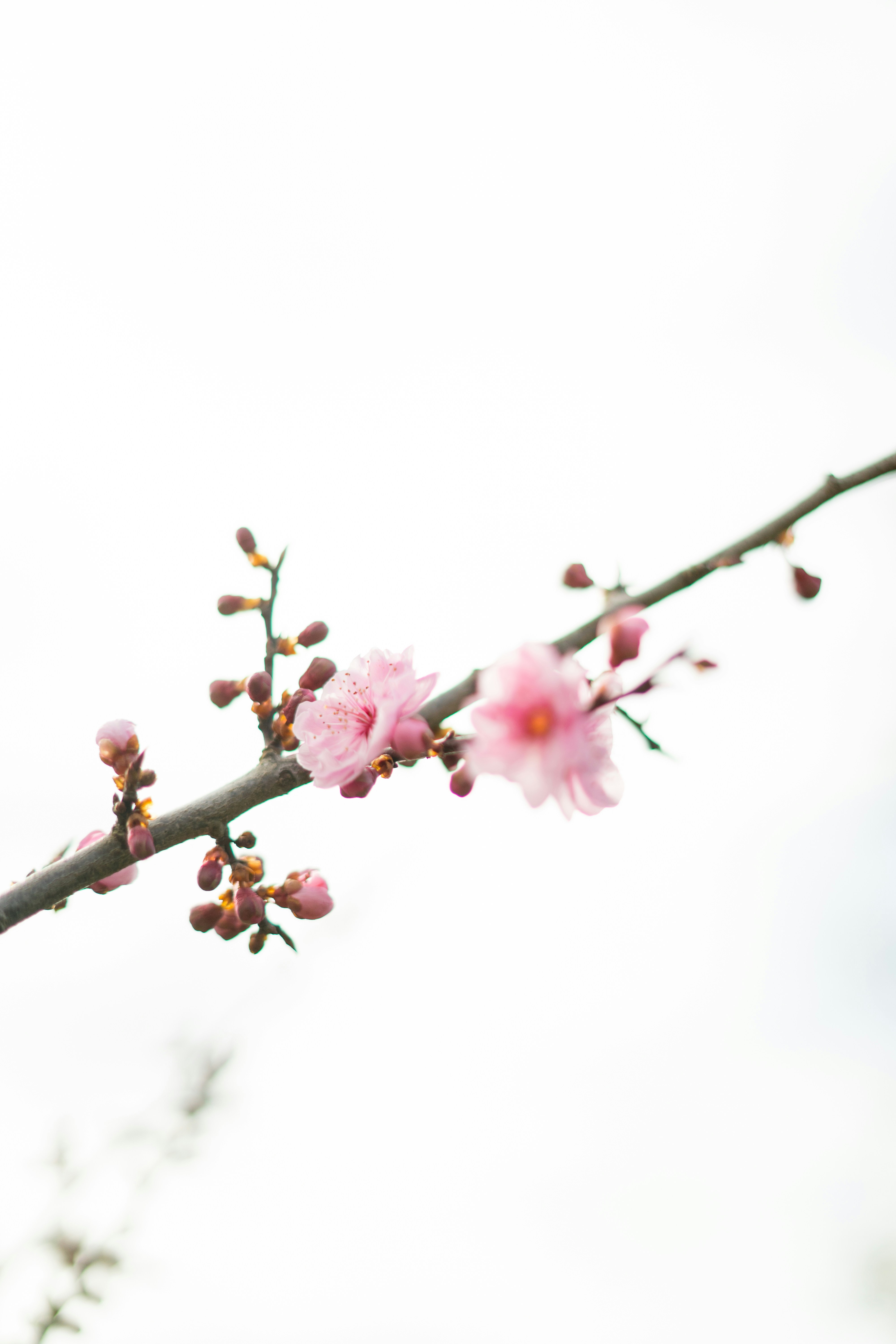 Photo by virussinside