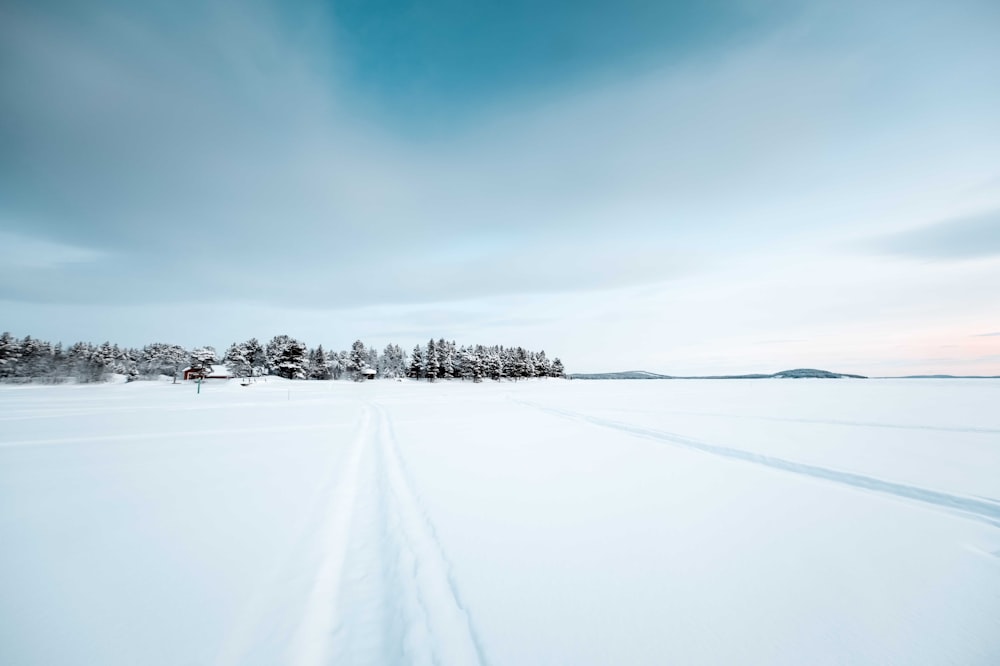 snow covered trees under blue sky during daytime