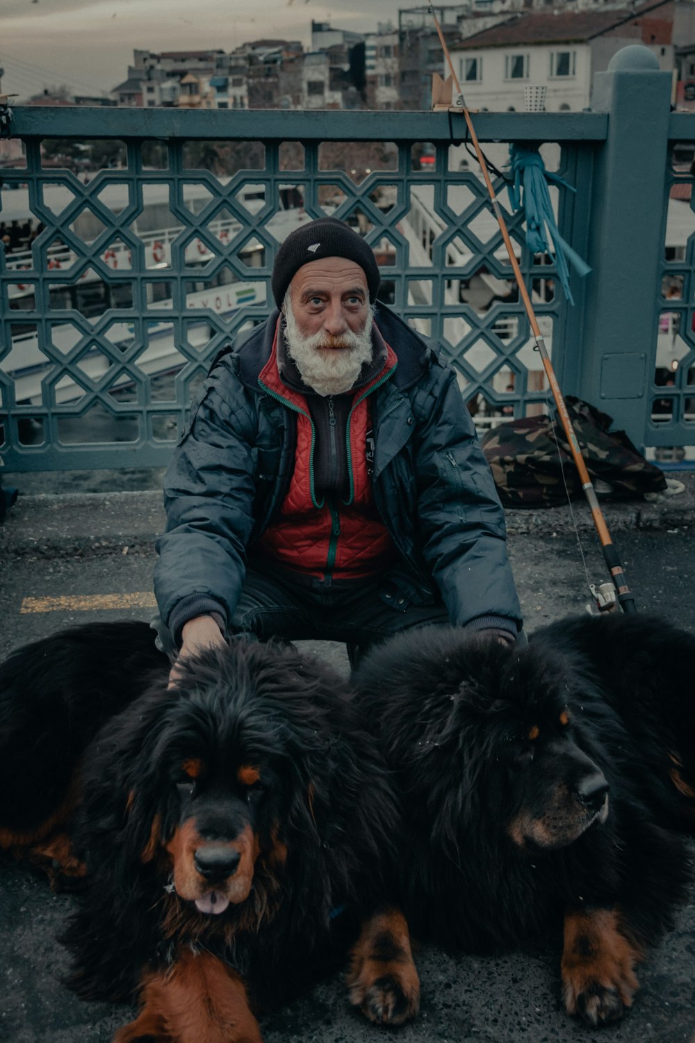 uomo in giacca di pelle nera che si siede accanto al cane lungo rivestito nero