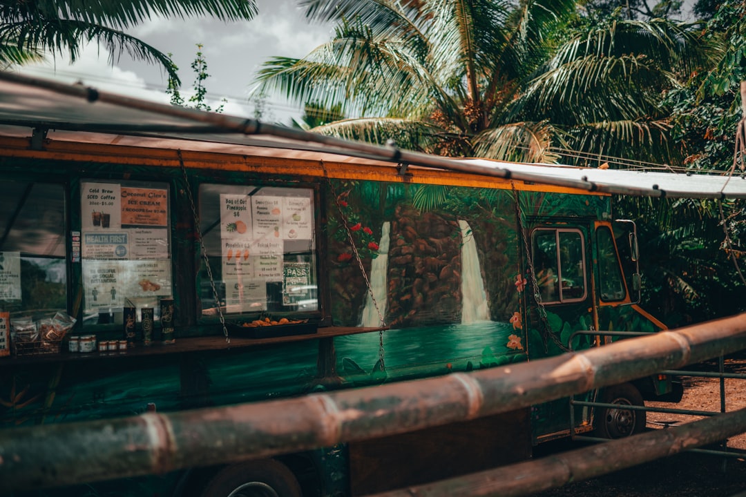 green and brown wooden boat on body of water during daytime