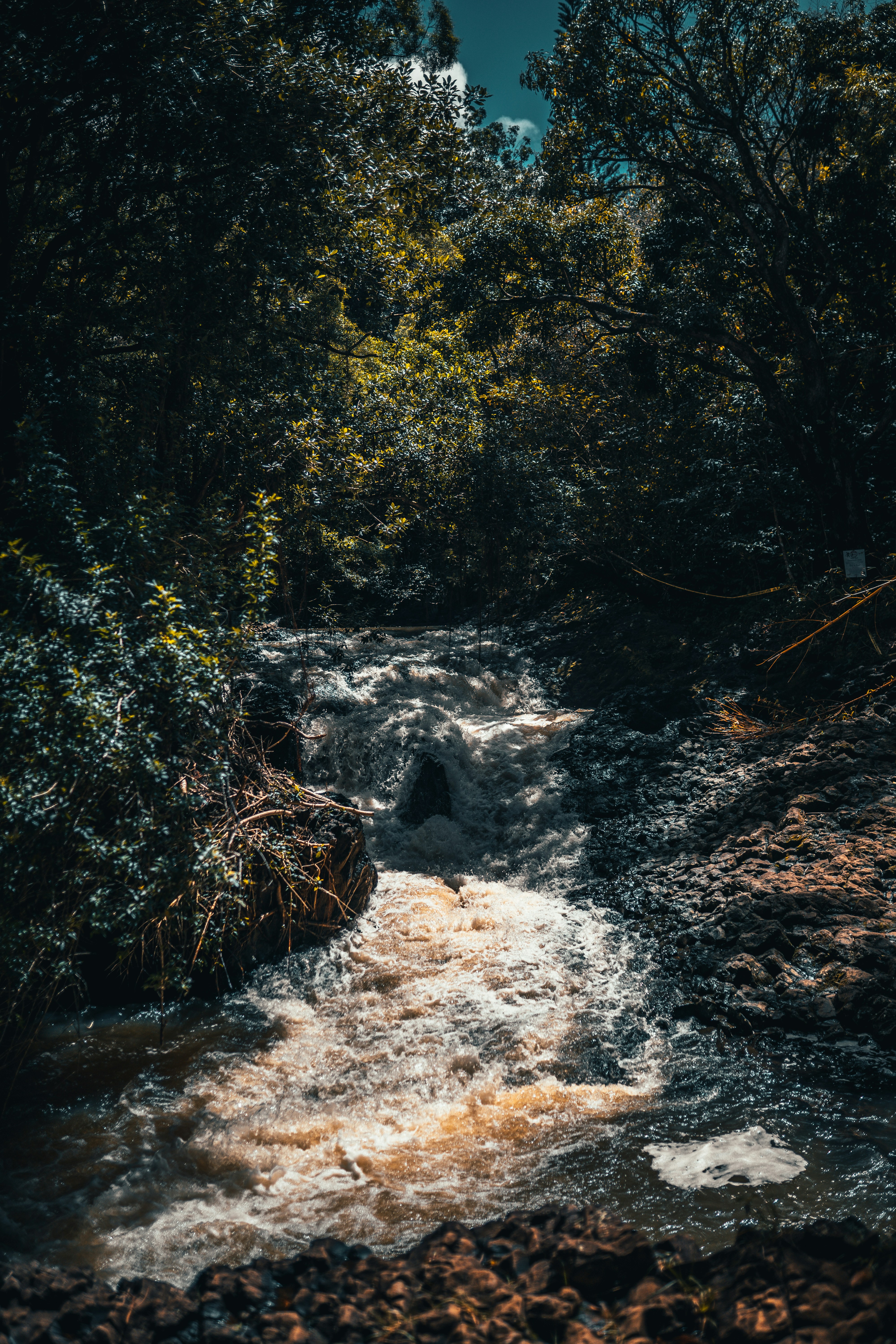 Photo by heyjamaal