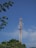 A tall communication tower stands against a clear blue sky, surrounded by a few leafy green trees. The structure is equipped with various antennas and satellite dishes, indicating its purpose for transmitting signals.